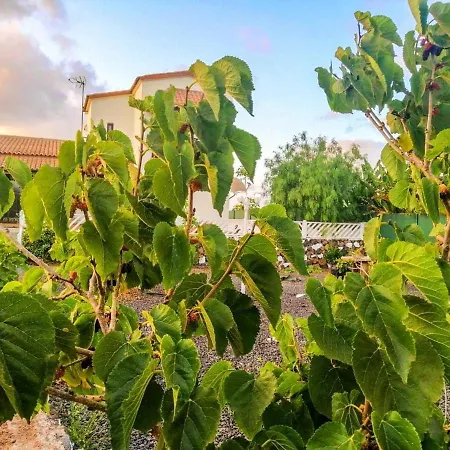 3 Bedrooms House With Enclosed Garden And Wifi At La Oliva 8 Km Away From The Beach * La Oliva