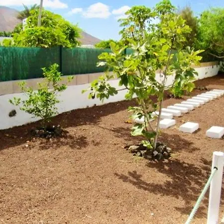 3 Bedrooms House With Enclosed Garden And Wifi At La Oliva 8 Km Away From The Beach Holiday home *