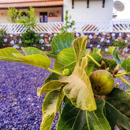 Holiday home 3 Bedrooms House With Enclosed Garden And Wifi At La Oliva 8 Km Away From The Beach *
