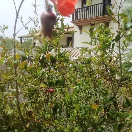 Holiday home 3 Bedrooms House With Enclosed Garden And Wifi At La Oliva 8 Km Away From The Beach La Oliva